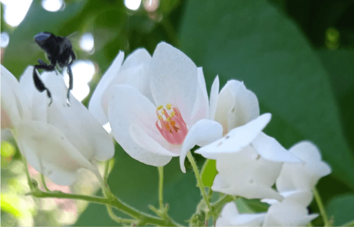 image gallery 0